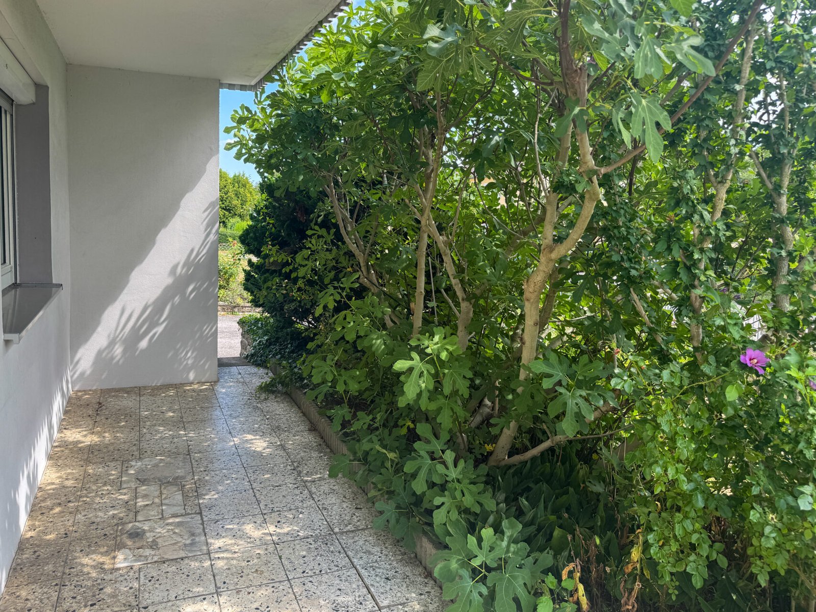 EG Terrasse