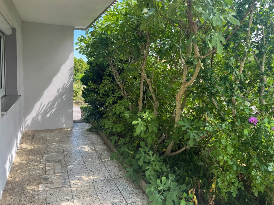 EG Terrasse